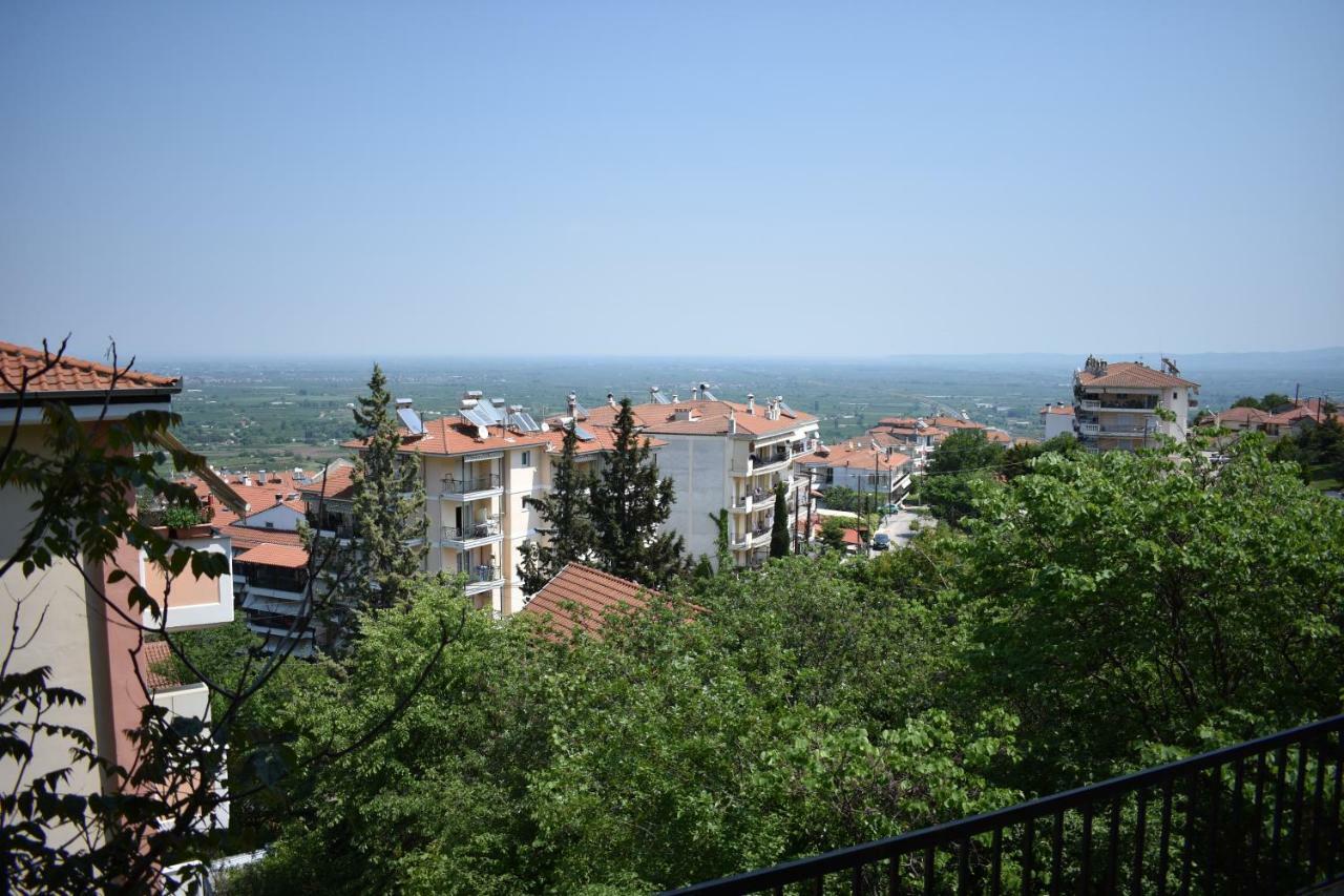 Small Apartment, Great View! Верия Экстерьер фото